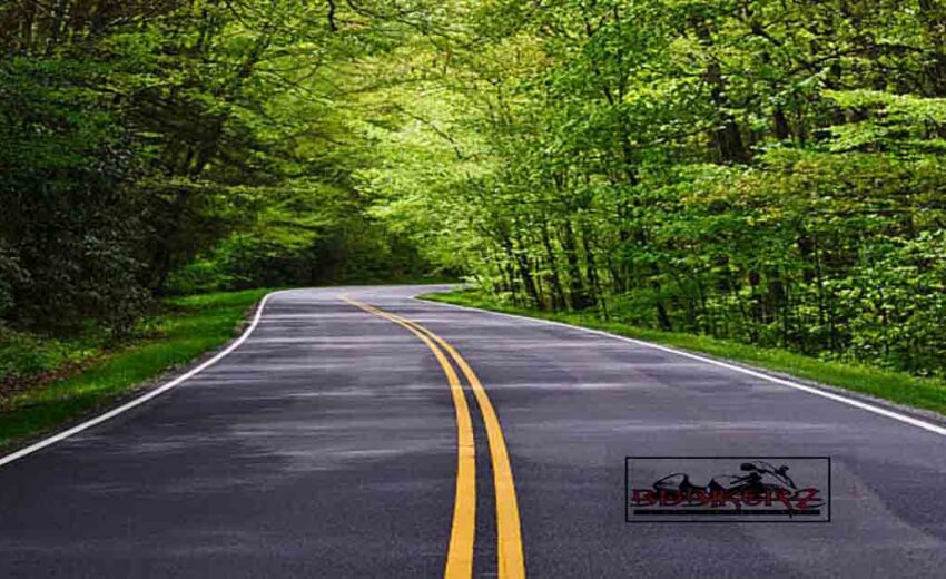 Road Marks